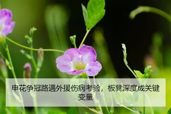 shen-hua-zheng-guan-lu-yu-wai-yuan-shang-bing-kao-yan-ban-deng-shen-du-cheng-guan-jian-bian-liang-3-624.jpg
