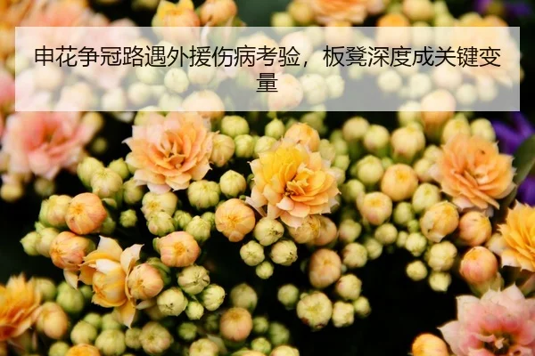 申花争冠路遇外援伤病考验，板凳深度成关键变量